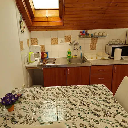 Bojanic Apartment Turanj